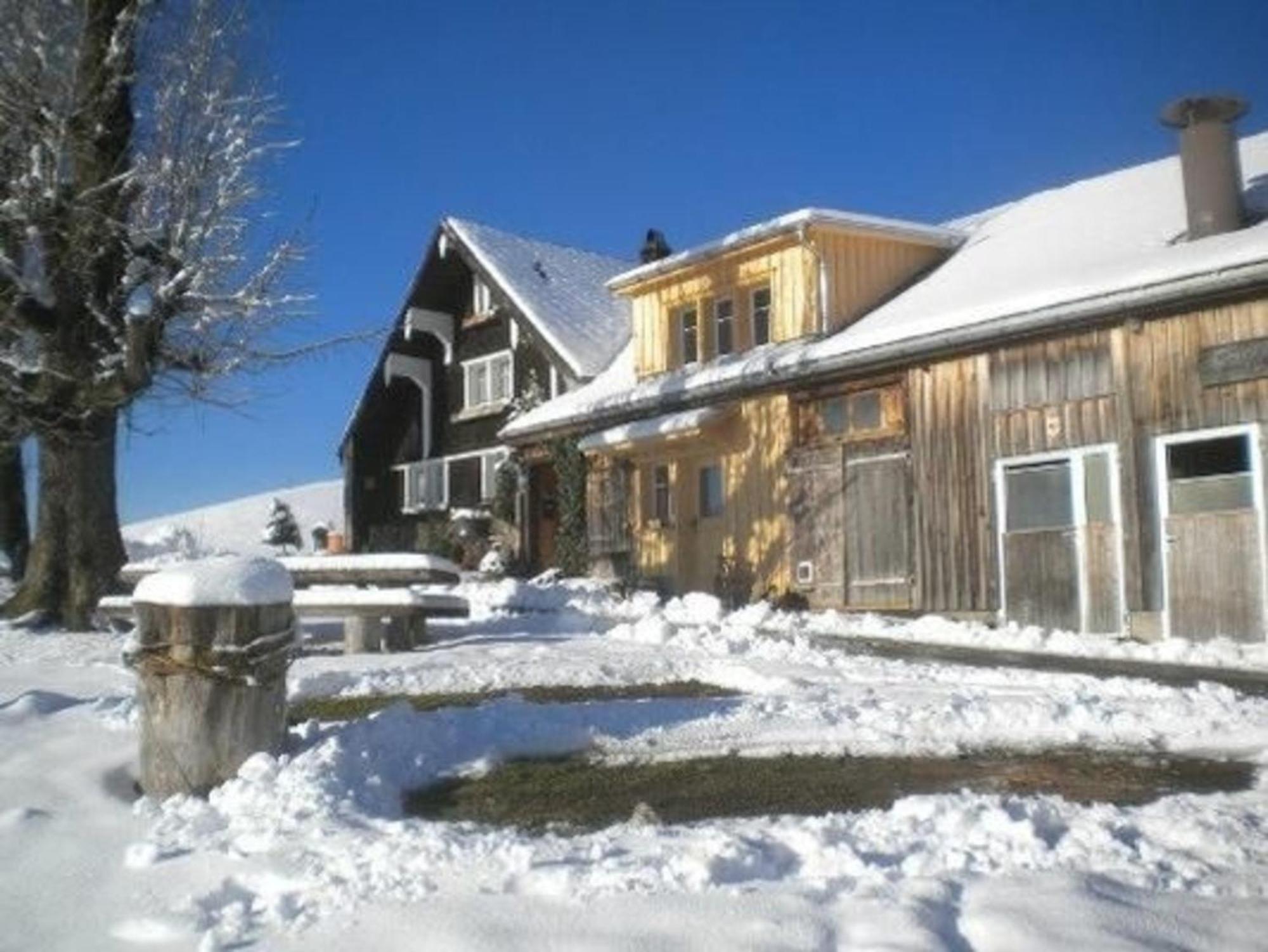 Bauernhof Fendrig - Neue Wohnung Haslen Exterior foto